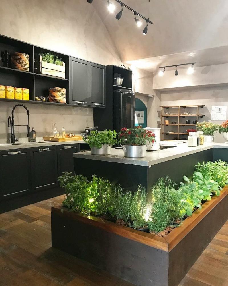 Растения в интерьере кухни 2019 1