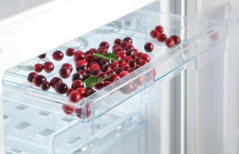 Холодильники Snaige: преимущества, модели, характеристики