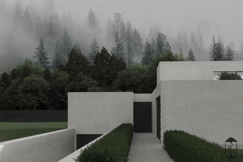 Gray & Green Gray & Green