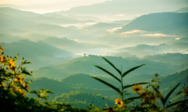 В Таиланде анонсирован новый закон о размещении