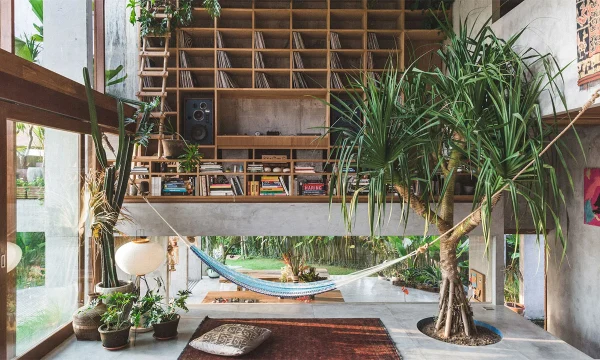 Зеленый максимализм: 10 проектов, где дерево — главный жилец