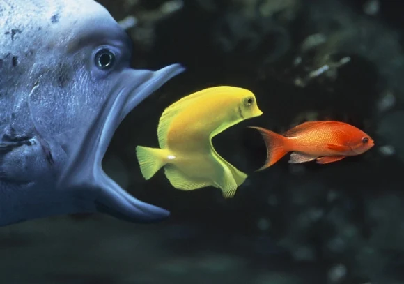 В градостроительном комплексе Москвы продолжаются слияния и поглощения