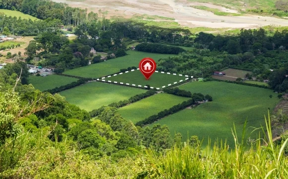 Нарушения выявили почти на 21 тыс. земельных участков в Подмосковье с января