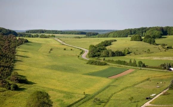 ГД одобрила в I чтении строительство объектов сельского туризма на сельхозземлях