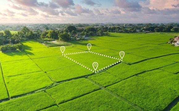 Росреестр наводит порядок в обороте федеральных и прочих земель