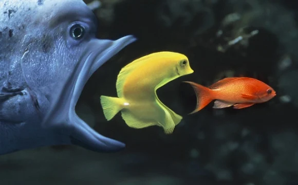 В градостроительном комплексе Москвы продолжаются слияния и поглощения