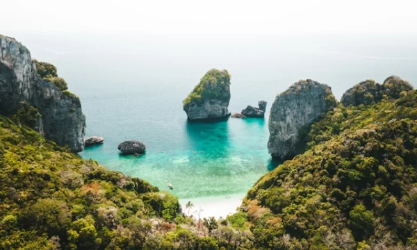 Новое правительство Таиланда рассматривает возможность снижения налога на землю на 50%