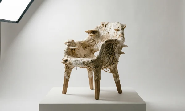 Выращено, а не сделано: почему будущее вашего интерьера — за грибами и водорослями