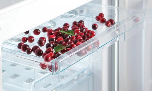 Холодильники Snaige: преимущества, модели, характеристики
