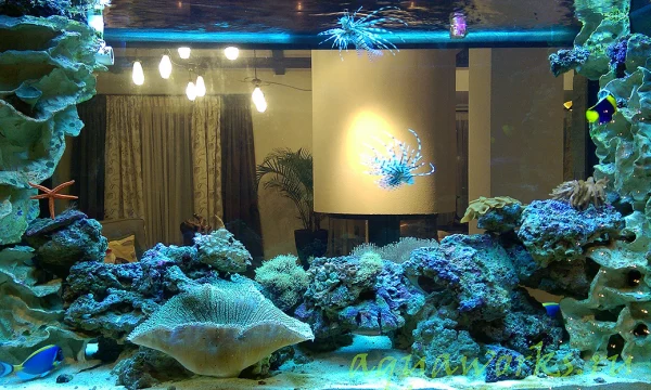 Изготовление аквариумов и аквасистем под заказ