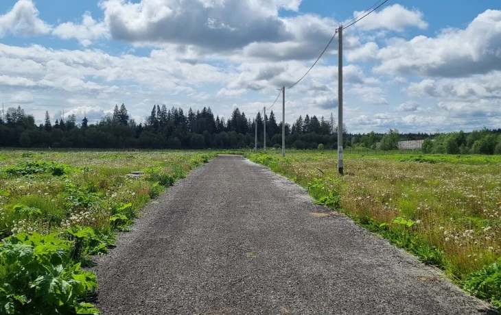 Земельные участки в Московской области: Руководство для покупателя